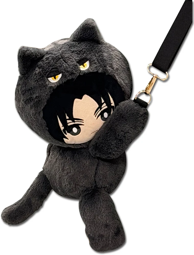 New Releases and Restocks